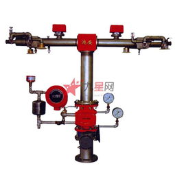 罗胜鸿安消防设备湿式报警器ZSFZ100 高效可靠的消防器材